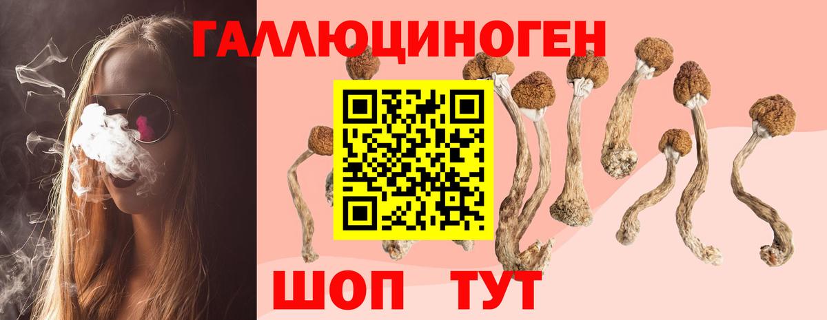 Псилоцибиновые грибы GOLDEN TEACHER  Вход с VPN  что такое наркотик  Калач-на-Дону  Псилоцибиновые грибы мицелий 